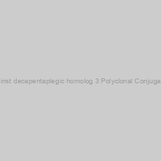 Image of Mothers against decapentaplegic homolog 3 Polyclonal Conjugated Antibody